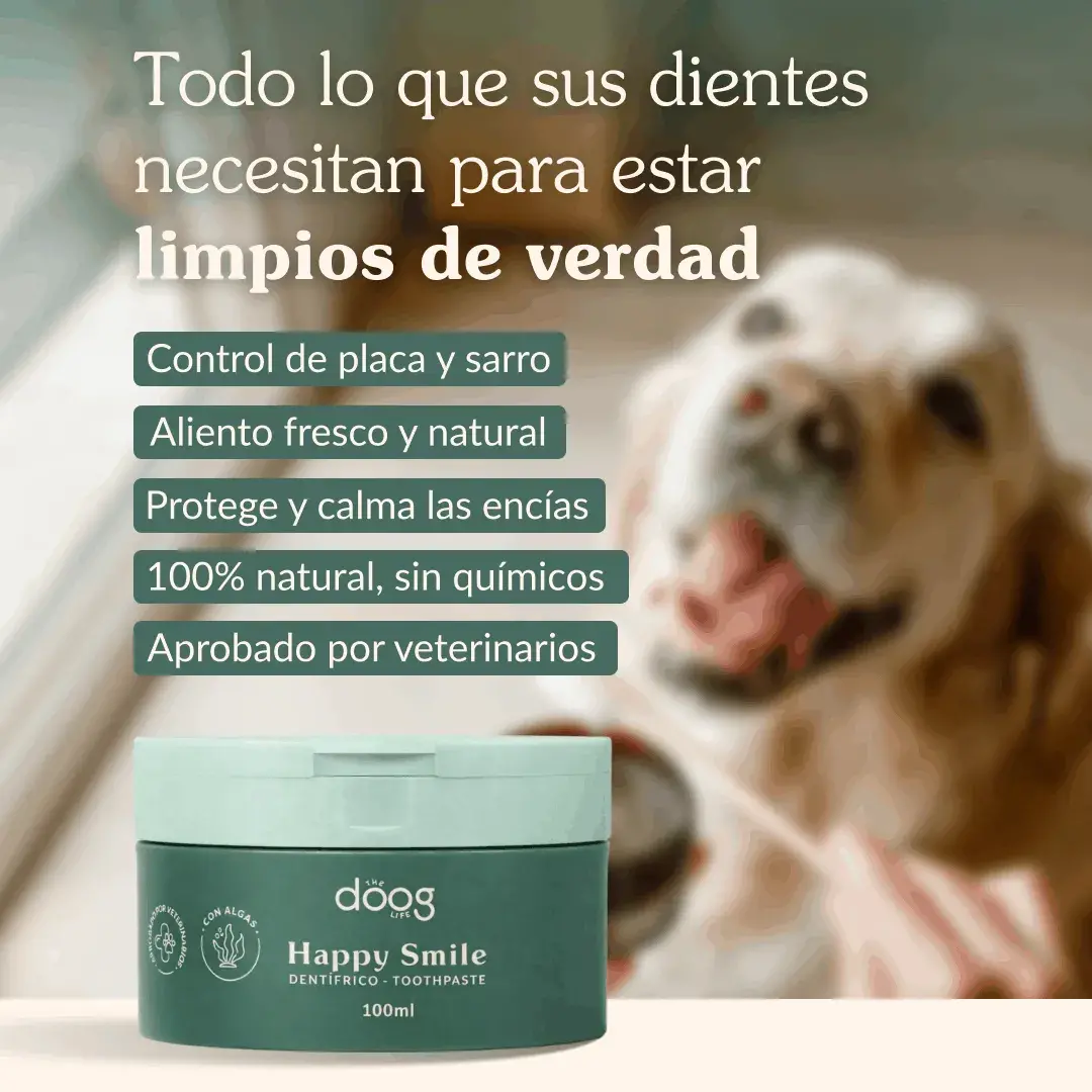 The Doog Life - Case Studies
