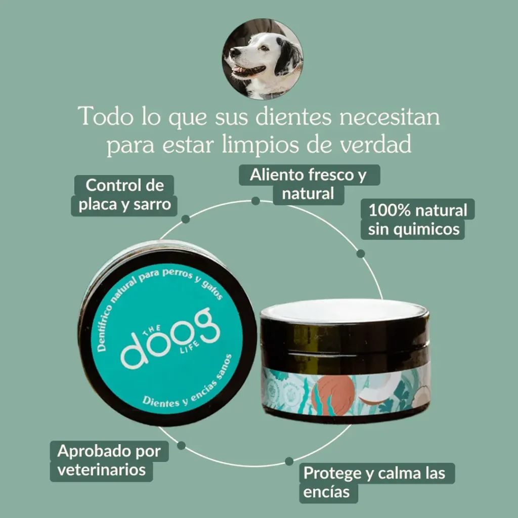The Doog Life - Case Studies