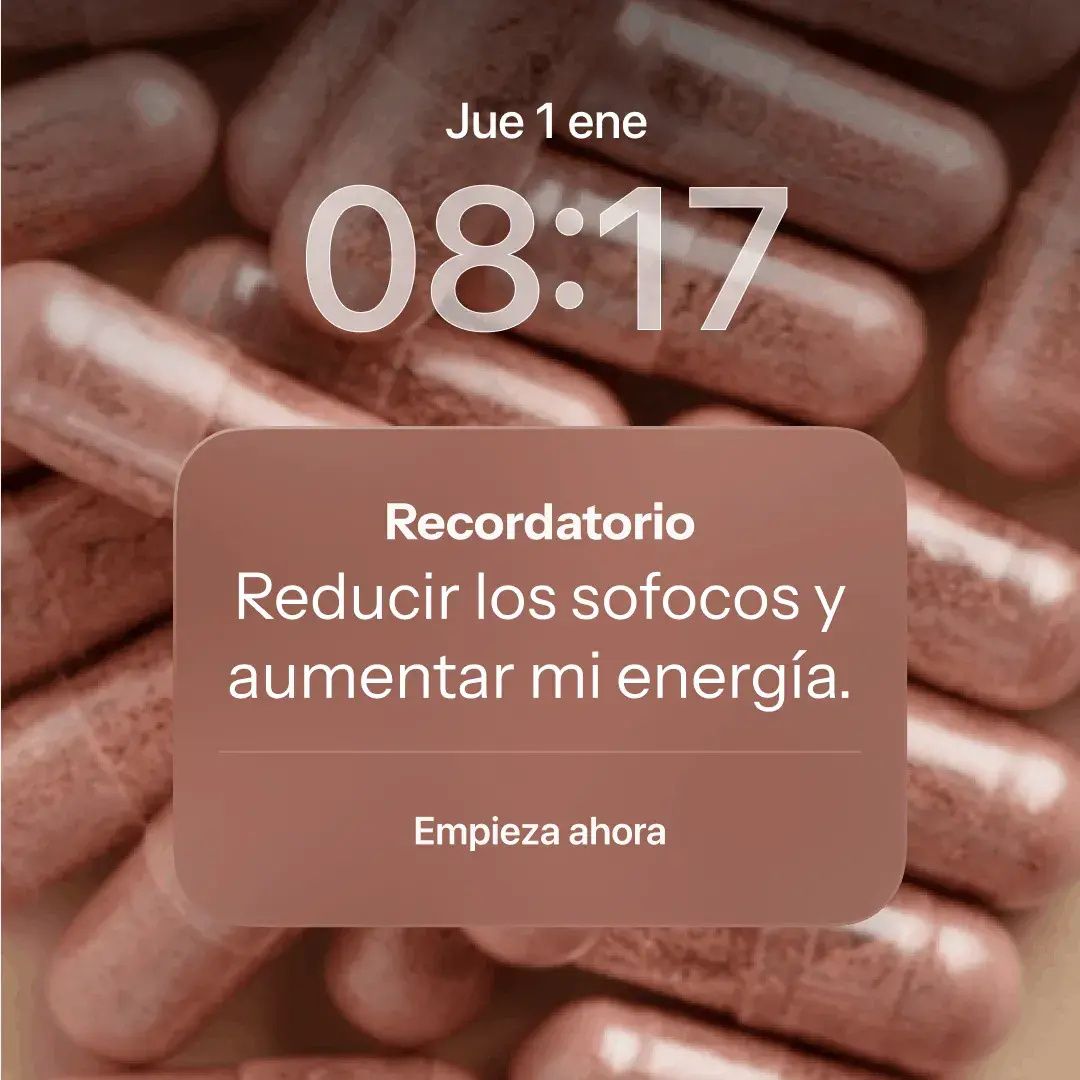 Domma - Case Studies