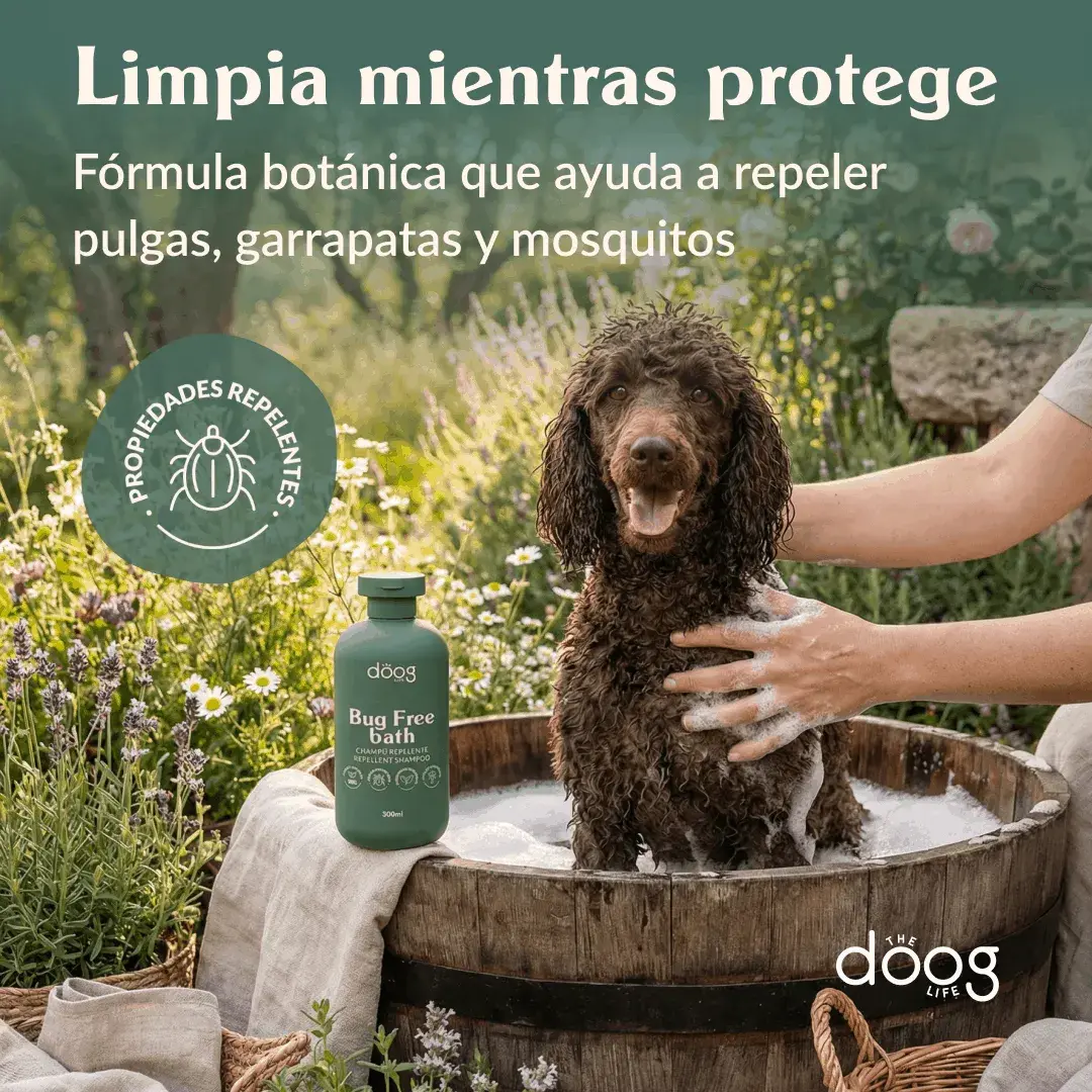 The Doog Life - Case Studies