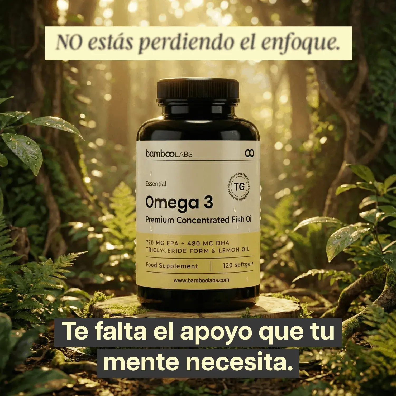 Bamboo Labs - Case Studies