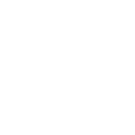 Vidal force